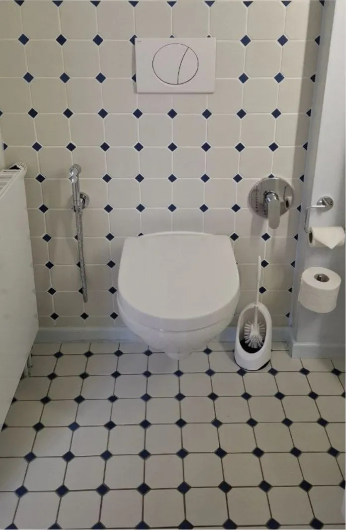 Guest WC after cleaning, tiles and grout clean